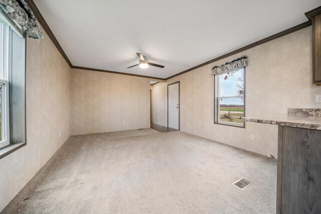 carpeted empty room with ceiling fan and ornamental molding