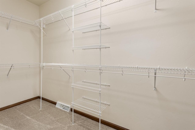 spacious closet featuring carpet floors