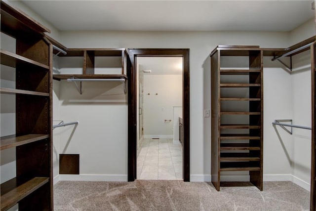 spacious closet featuring light carpet