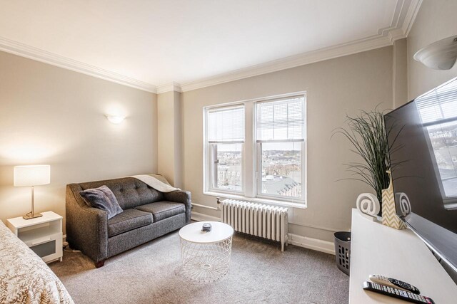 carpeted living room featuring plenty of natural light, crown molding, and radiator