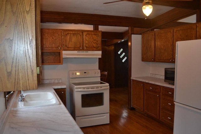 kitchen with dark hardwood / wood-style flooring, white appliances, and sink