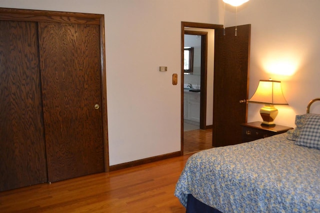 bedroom featuring wood-type flooring and a closet