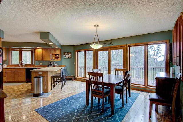 dining space with a textured ceiling, light wood-type flooring, and sink