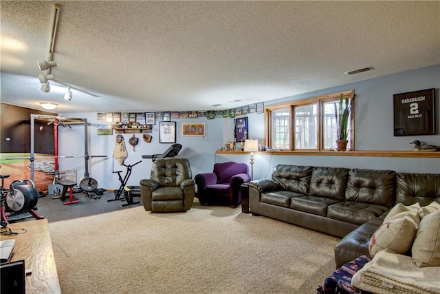 carpeted living room featuring a textured ceiling and track lighting