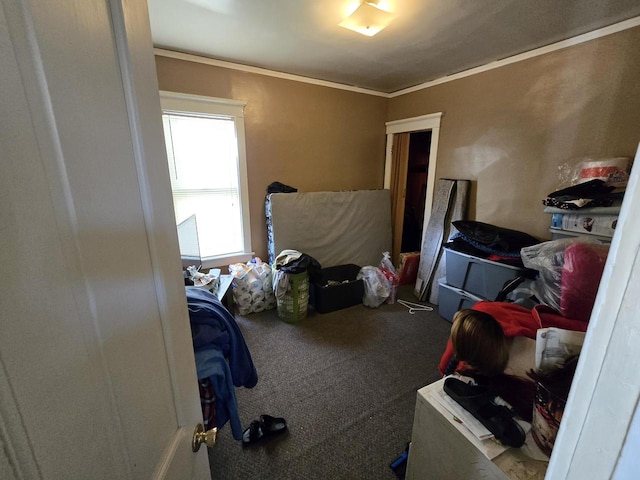 bedroom with carpet and ornamental molding