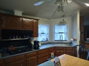 kitchen with black cooktop, ceiling fan, ornamental molding, and sink