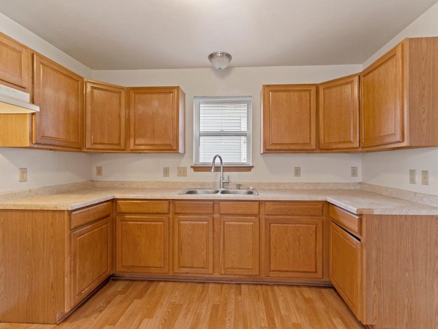 kitchen featuring light wood-type flooring and sink