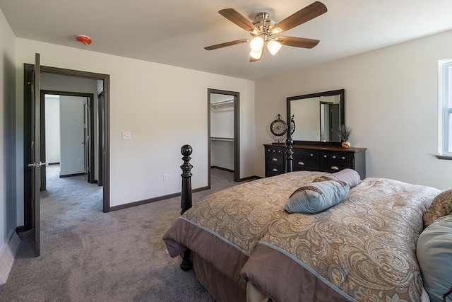 bedroom featuring carpet flooring, ceiling fan, and a walk in closet