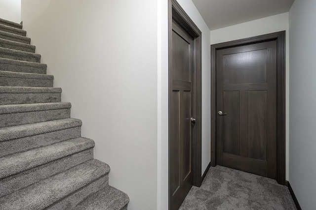 staircase with carpet floors