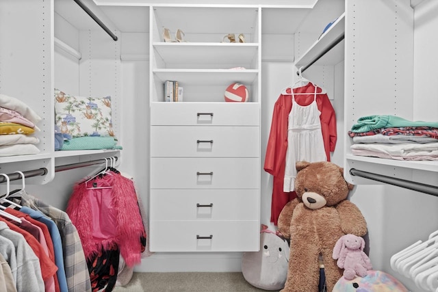 spacious closet with carpet flooring