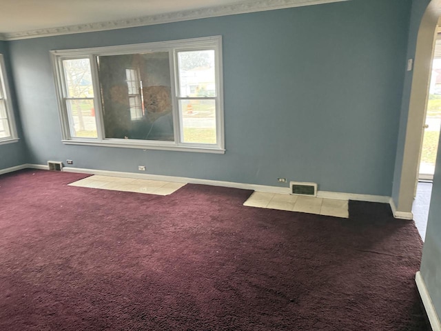 empty room featuring plenty of natural light and carpet floors