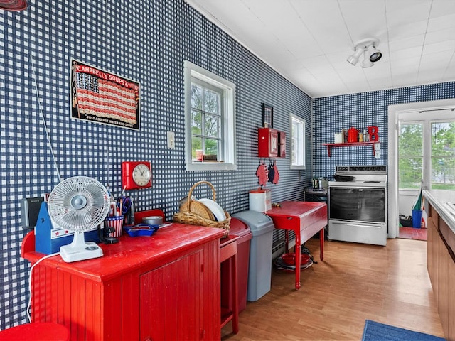 interior space featuring light wood-type flooring and stainless steel stove