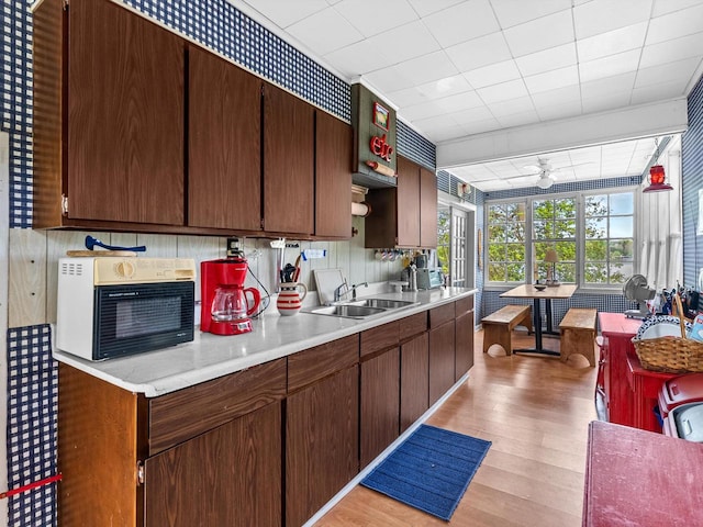 kitchen featuring dark brown cabinetry, ceiling fan, sink, and light hardwood / wood-style floors