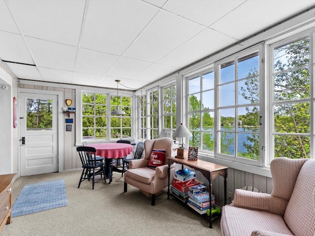 W6540 County Road C, Plymouth, WI 53073 - sunroom / solarium with healthy amount of natural light, carpet, a paneled ceiling, and a water view