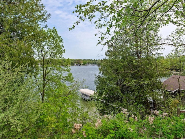 view of water feature