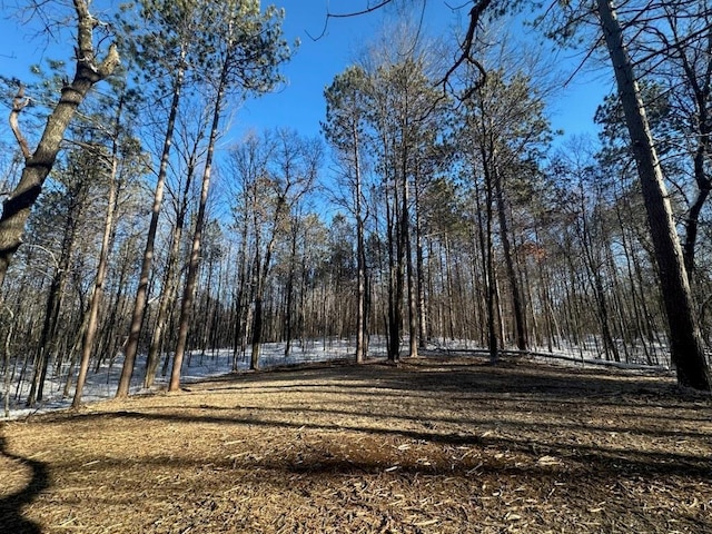 0 290th Ave Ave, Holcombe, WI 54745