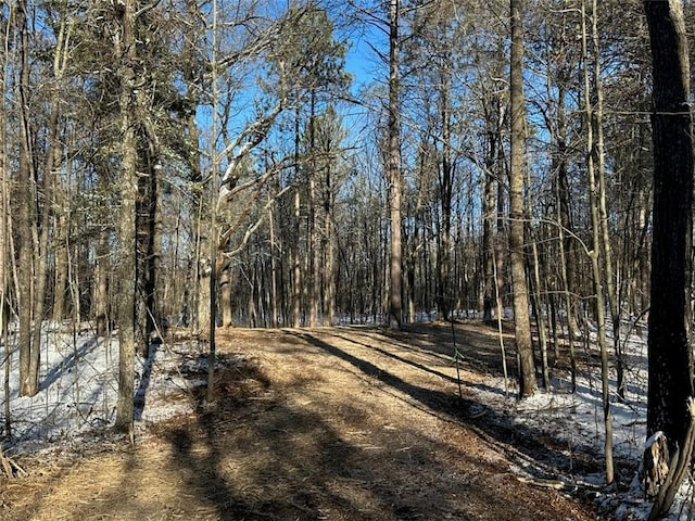 0 290th Ave Ave, Holcombe, WI 54745