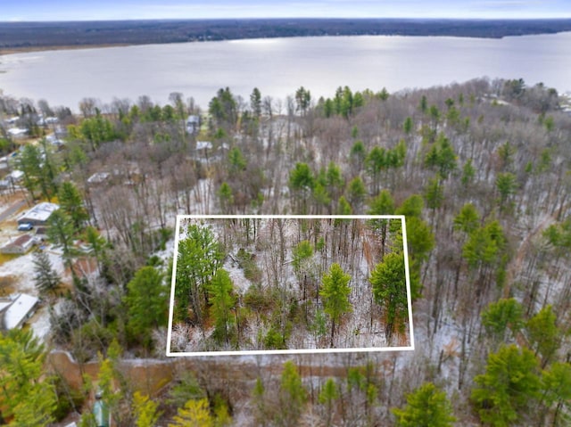 Pines Rd, Wausaukee, WI 54177