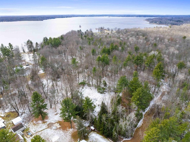 Pines Rd, Wausaukee, WI 54177
