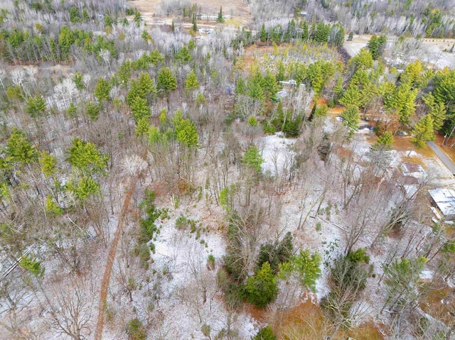 Pines Rd, Wausaukee, WI 54177