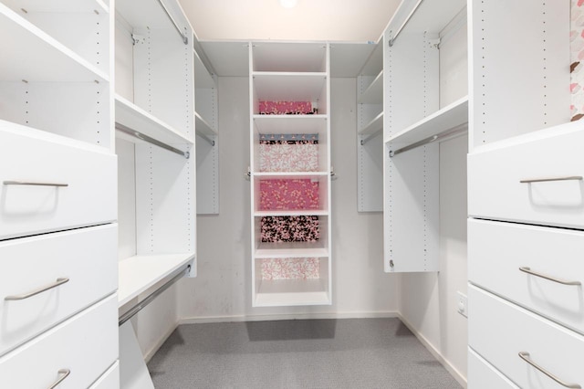 walk in closet with carpet flooring