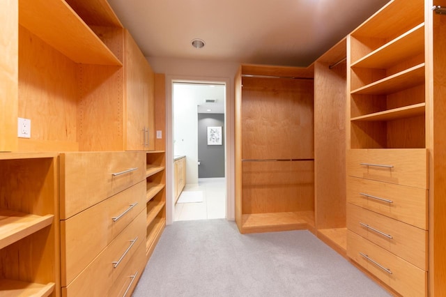 spacious closet with light carpet