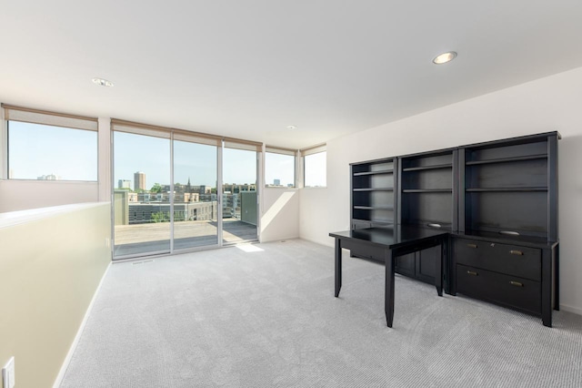 unfurnished office featuring light carpet