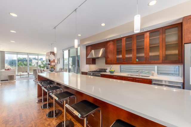 kitchen with sink, wall chimney range hood, decorative light fixtures, a kitchen bar, and appliances with stainless steel finishes