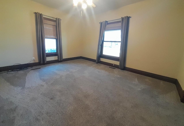 spare room with carpet and a wealth of natural light