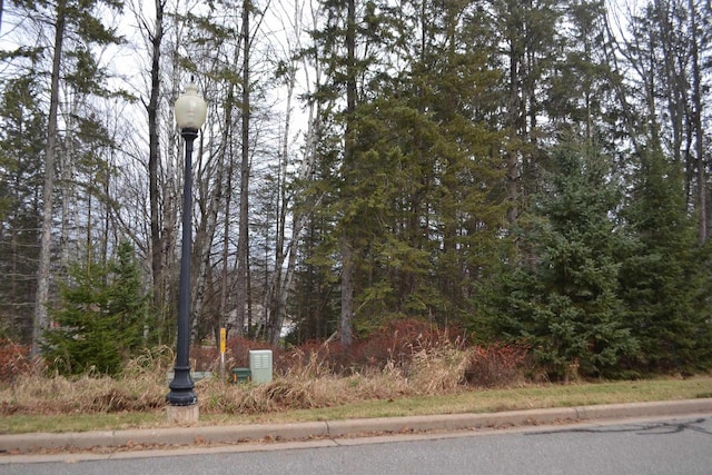 LOT24 Deer Tail Ln, Wausau WI, 54401 land for sale