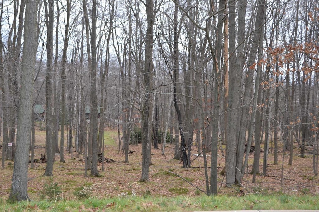 LOT33 Buck Wood Ln, Wausau, WI 54401
