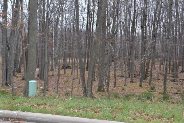 Listing photo 2 for LOT33 Buck Wood Ln, Wausau WI 54401