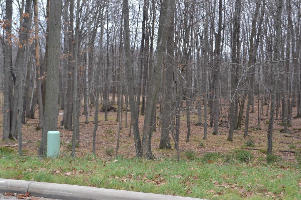 LOT33 Buck Wood Ln, Wausau, WI 54401