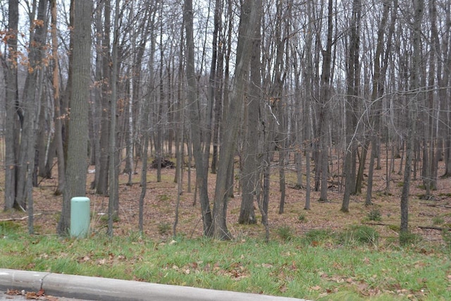 LOT33 Buck Wood Ln, Wausau, WI 54401