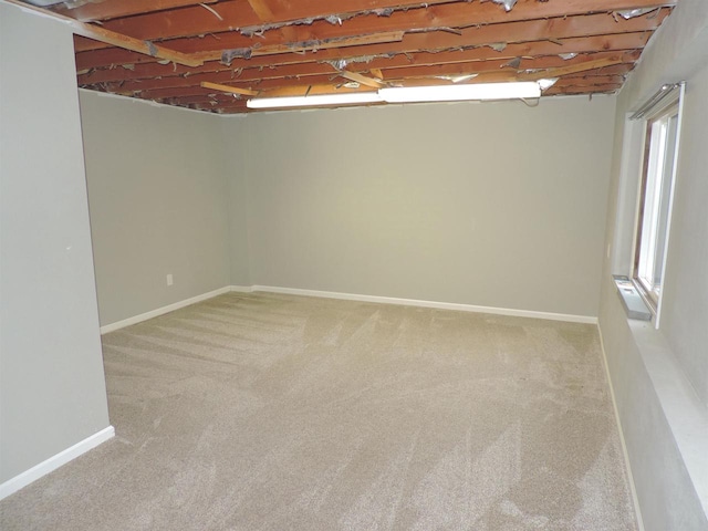 basement featuring carpet flooring