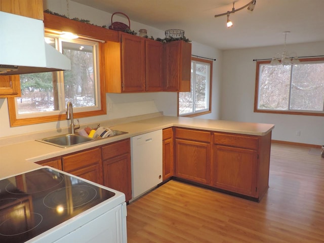 kitchen featuring dishwasher, sink, light hardwood / wood-style flooring, kitchen peninsula, and stove