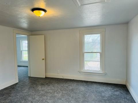 carpeted spare room with a healthy amount of sunlight