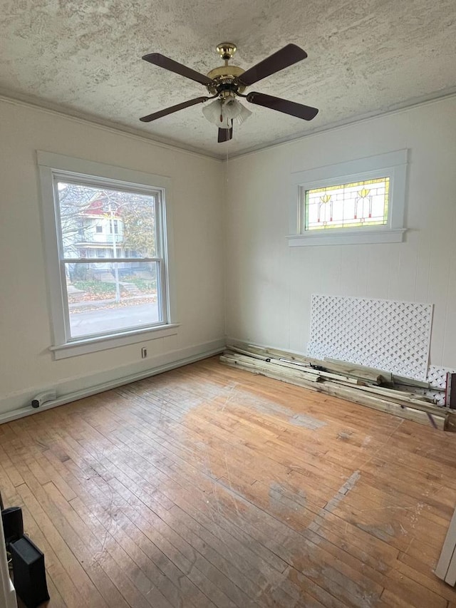 spare room featuring crown molding, ceiling fan, a textured ceiling, and light wood-type flooring