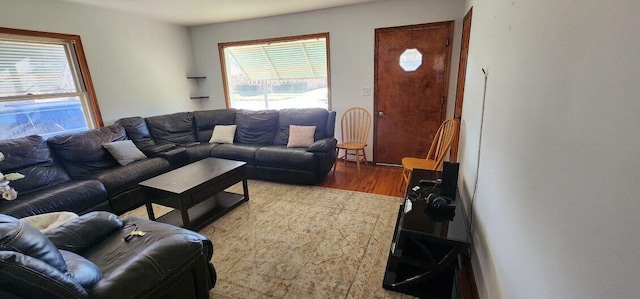 living room with light wood-type flooring