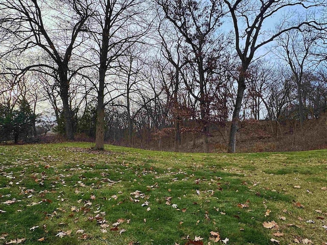 6641 N Kennedy Rd, Milton, WI 53563 - view of grassy yard