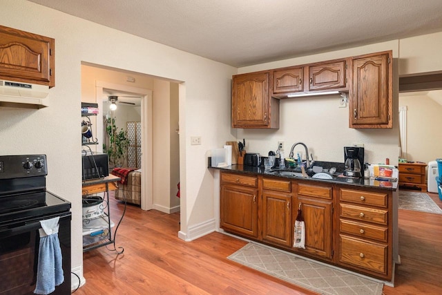 130 W Maple St, Viroqua, WI 54665 - kitchen with black range with electric cooktop, light wood-style floors, under cabinet range hood, and brown cabinetry