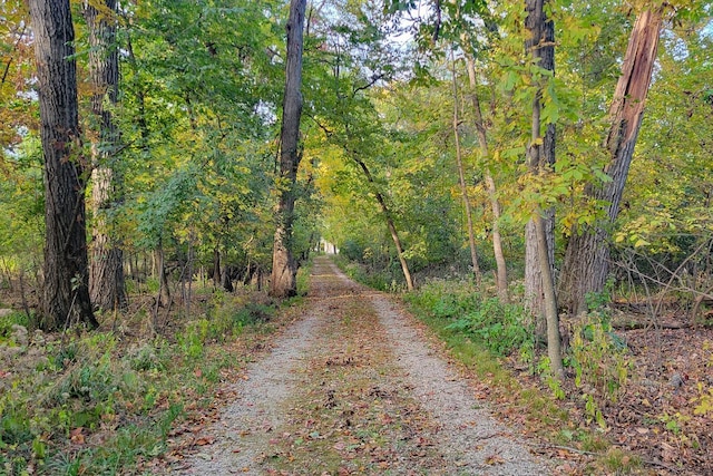 2572 N Shore Dr, Delavan, WI 53115 - view of dirt / gravel road featuring a forest view