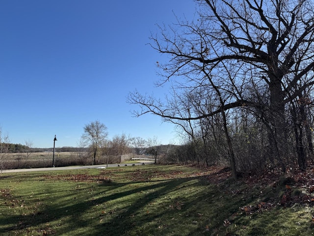 view of yard featuring a rural view