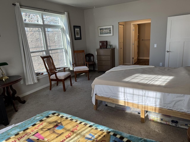 bedroom with a closet and carpet floors