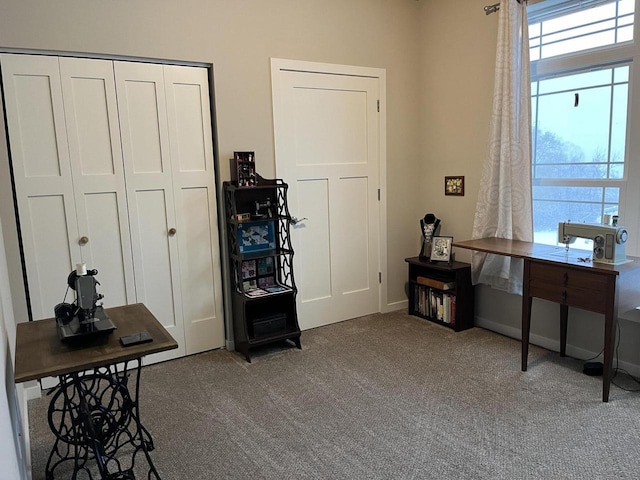 miscellaneous room featuring carpet