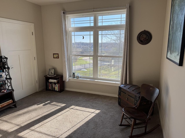 interior space featuring carpet