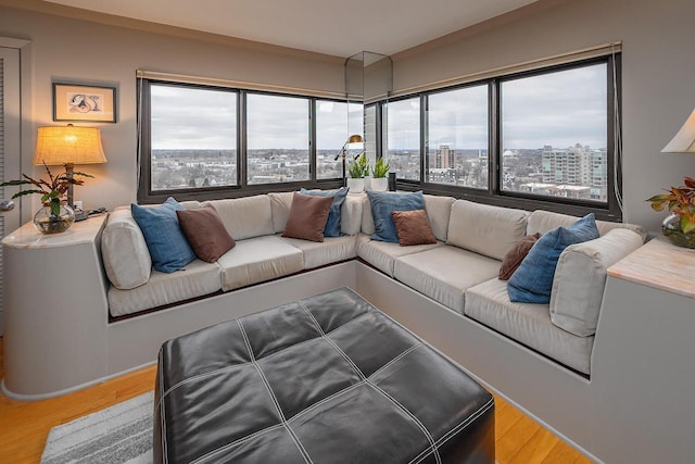 living room with light hardwood / wood-style floors