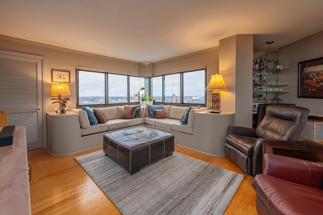 living room with plenty of natural light and light wood-type flooring