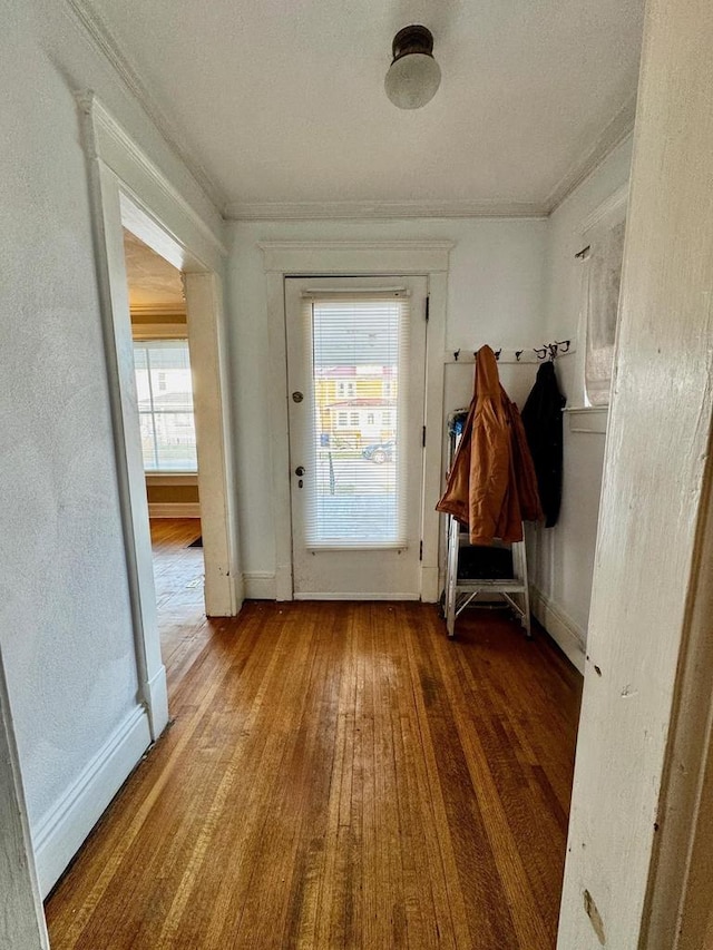 entryway featuring wood-type flooring, a wealth of natural light, and ornamental molding