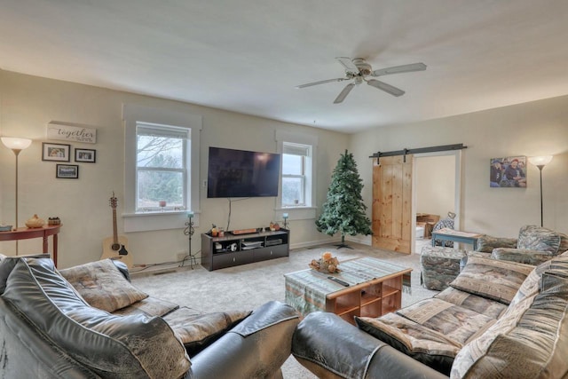 living room featuring carpet, ceiling fan, a barn door, and a healthy amount of sunlight